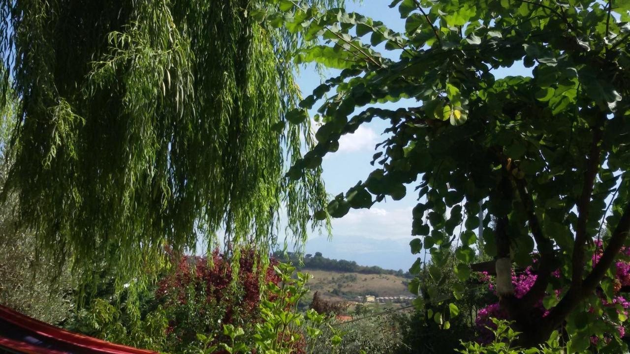 Tre Cammelli In Collina Villa Montesilvano Marina Eksteriør billede
